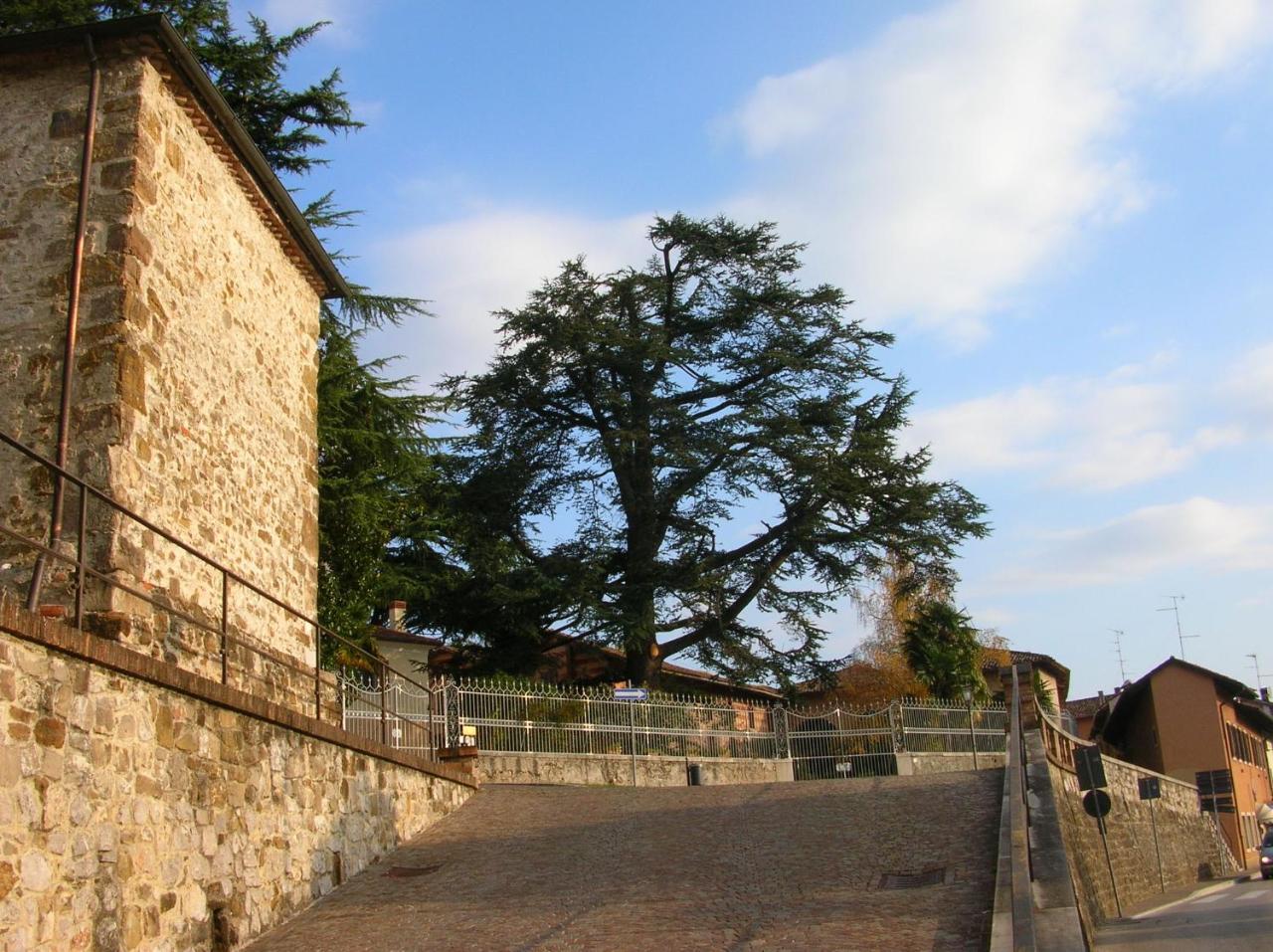 Antica Scuderia Bed & Breakfast Buttrio Exterior foto